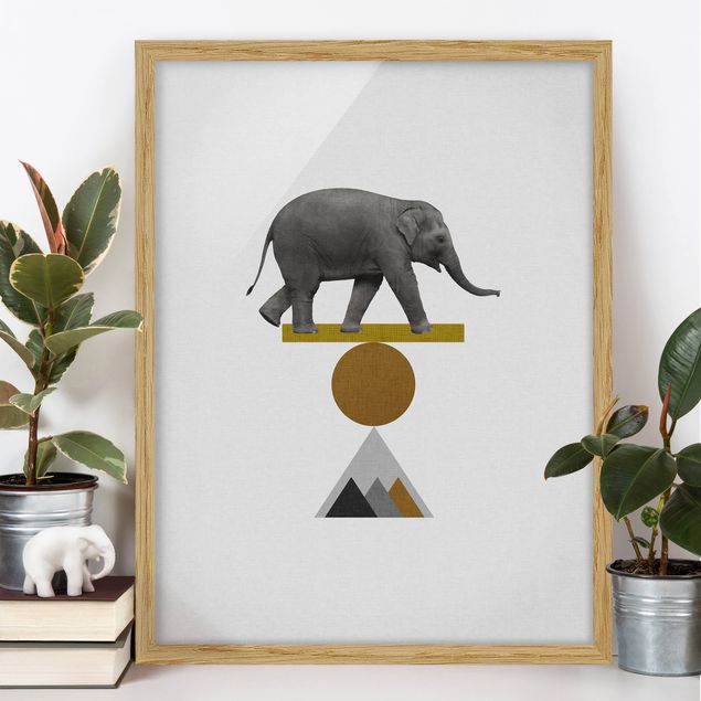 Quadri con elefanti Arte dell'equilibrio - Elefante