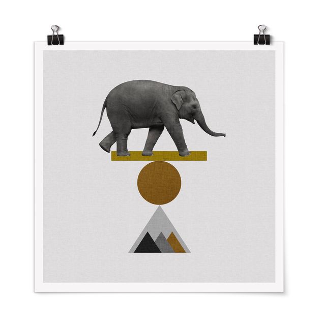Poster dipinti famosi Arte dell'equilibrio - Elefante