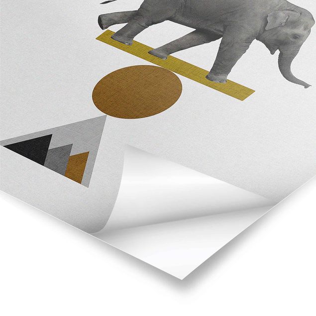 Stampe poster Arte dell'equilibrio - Elefante