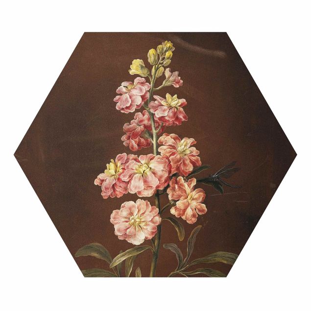Riproduzione quadri famosi Barbara Regina Dietzsch - Una violacciocca rosa chiaro