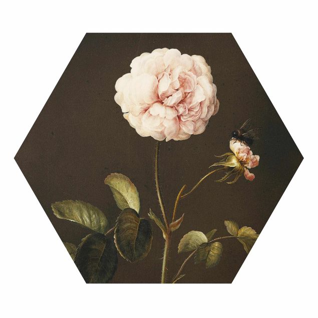Quadri fiori Barbara Regina Dietzsch - Rosa gallica con bombo