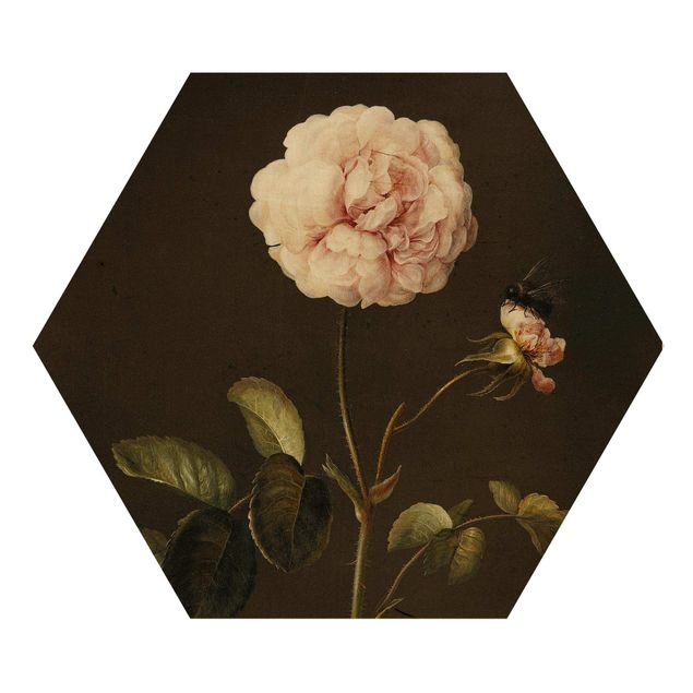 Quadri con fiori Barbara Regina Dietzsch - Rosa gallica con bombo