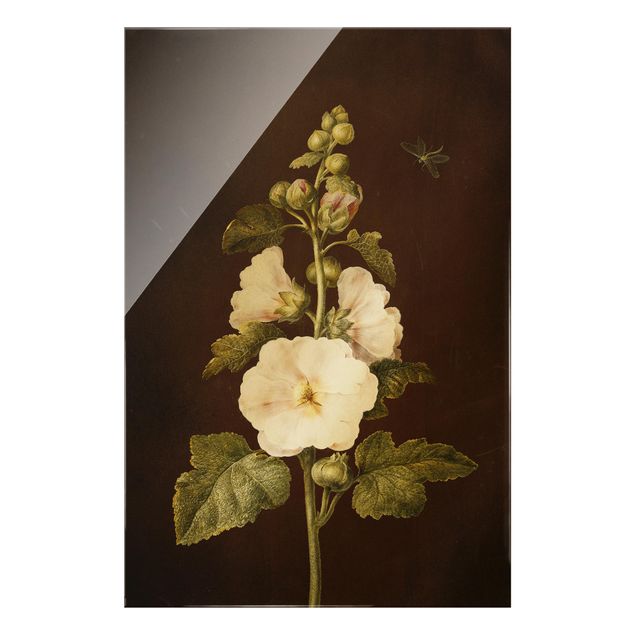 Quadri di fiori Barbara Regina Dietzsch - Agrifoglio