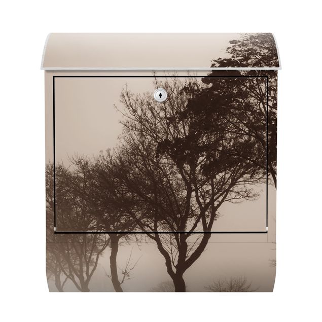 Cassette della posta marroni Albero Avanue nella nebbia mattutina