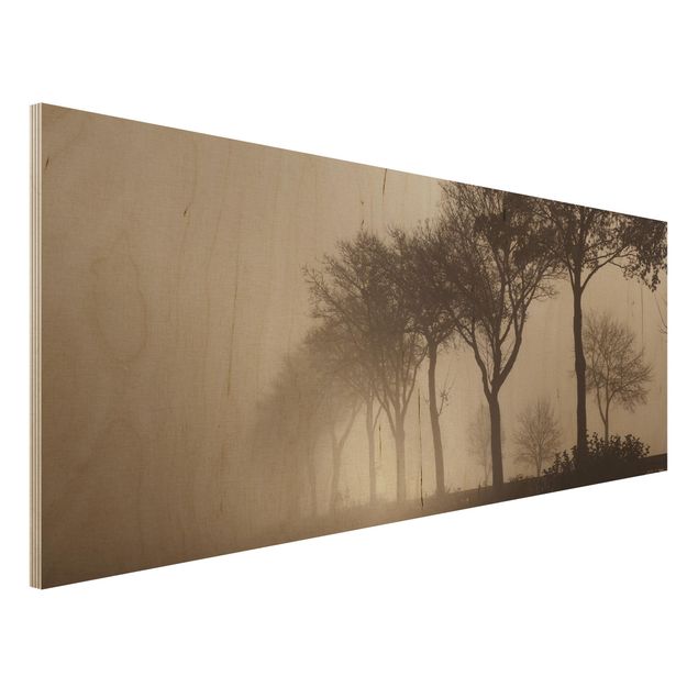 Quadri in legno con paesaggio Albero Avanue nella nebbia mattutina