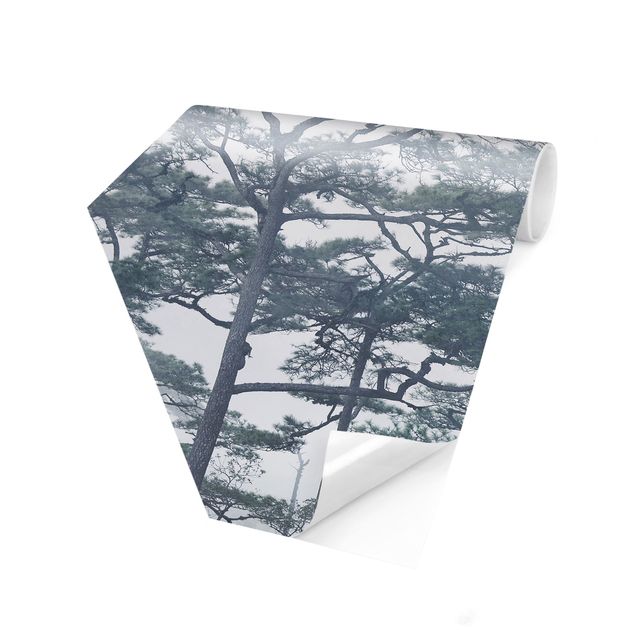 Carta da parati esagonale Cime degli alberi nella nebbia