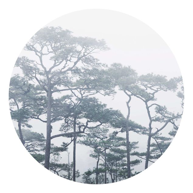 Carta da parati moderne Cime degli alberi nella nebbia