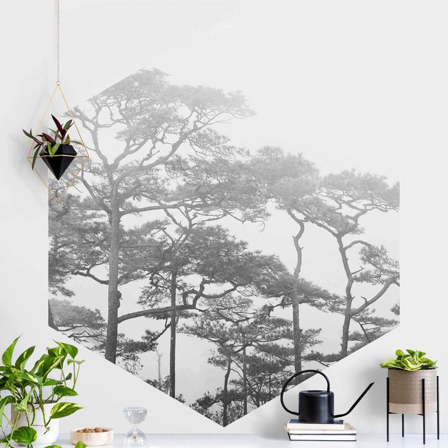Carte da parati adesive Cime degli alberi nella nebbia in bianco e nero