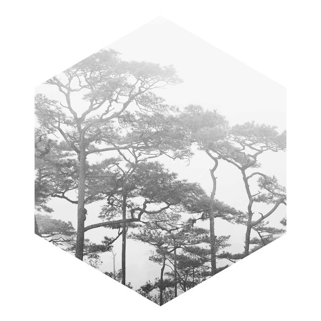 carta da parete Cime degli alberi nella nebbia in bianco e nero