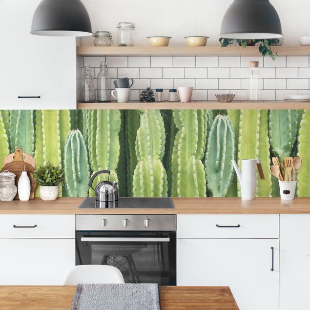 Rivestimento cucina moderna Muro di cactus