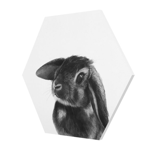 Quadri esagonali Illustrazione - Coniglio - Disegno in bianco e nero