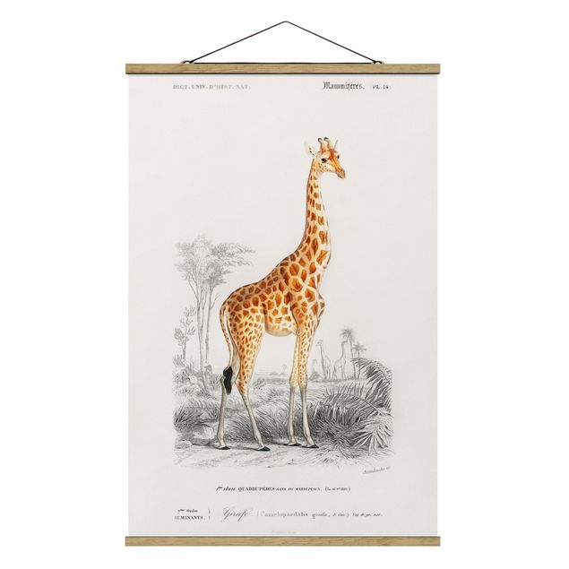 Quadro animali Bacheca vintage Giraffa