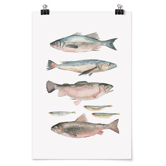 Poster con animali Sette pesci in acquerello I