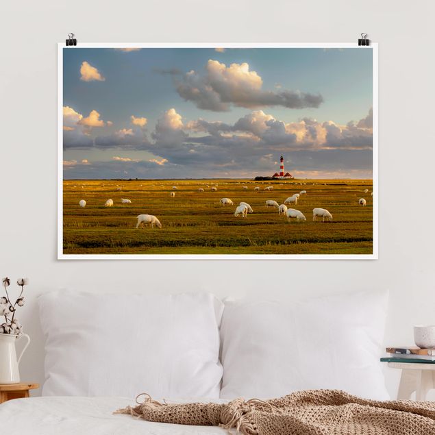 Quadri paesaggistici Faro sul Mare del Nord con gregge di pecore