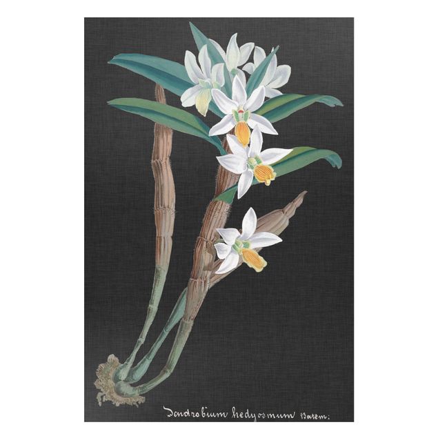 Lavagne magnetiche con fiori Orchidea bianca su lino I