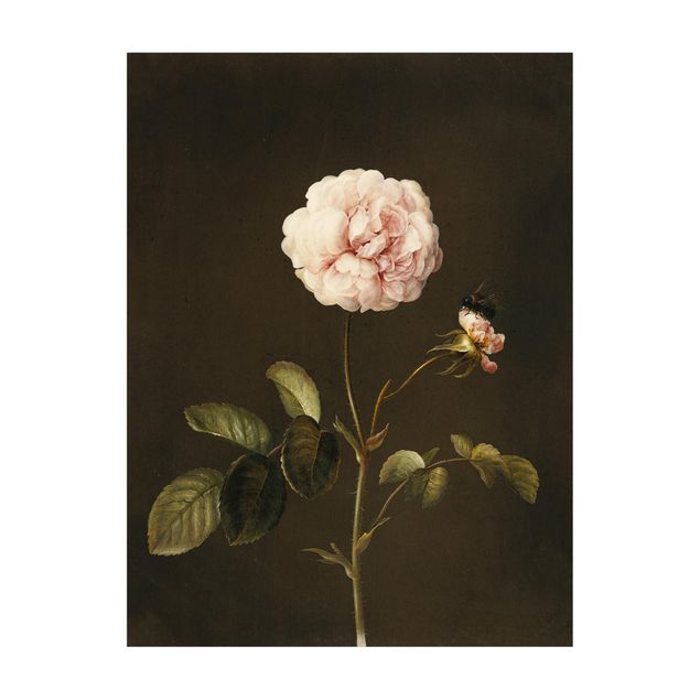 tappeti con fiori Barbara Regina Dietzsch - Rosa francese con bumblbee