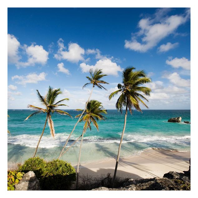 Carta da parati moderna Spiaggia di Barbados