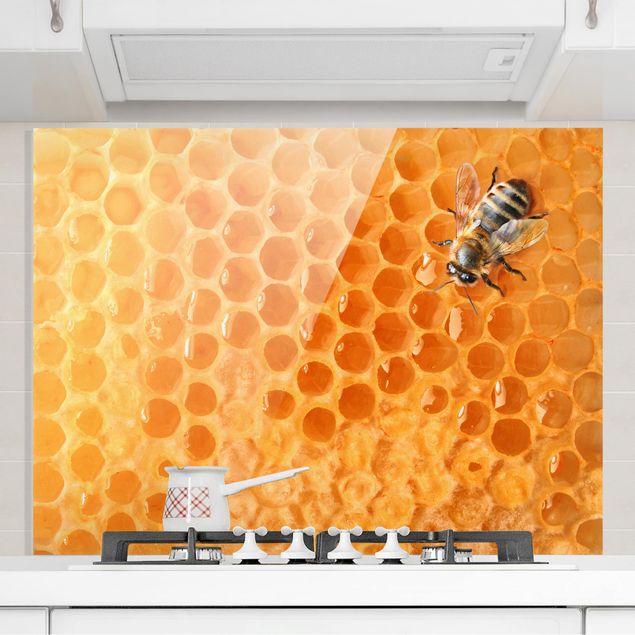Paraschizzi con disegni Honey Bee