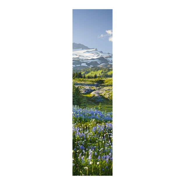 Tende a pannello scorrevoli con paesaggio Prato di montagna con fiori blu davanti al monte Rainier