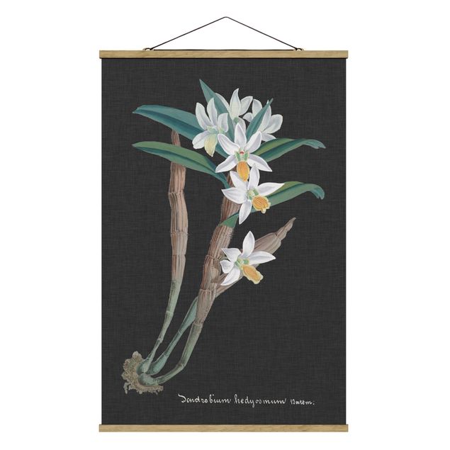 Quadri floreali moderni Orchidea bianca su lino I