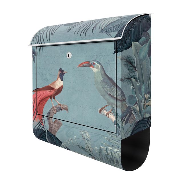 Cassette della posta con animali Paradiso grigio blu con uccelli tropicali