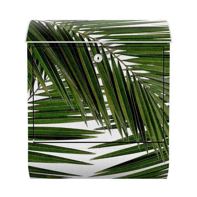 Cassette della posta con paesaggio Vista attraverso le foglie di palma verde