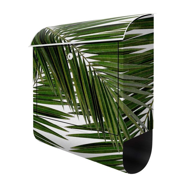 Cassette della posta verde Vista attraverso le foglie di palma verde