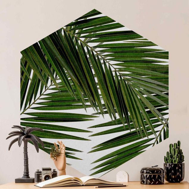 Carta da parati moderna Vista attraverso le foglie di palma verde