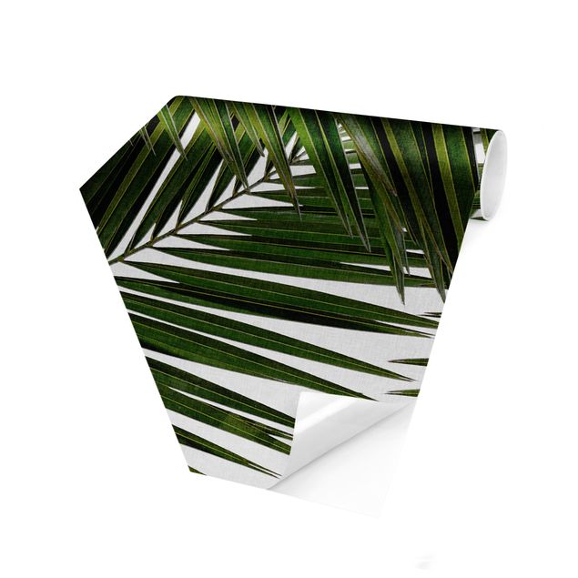 Carta da parati oro Vista attraverso le foglie di palma verde