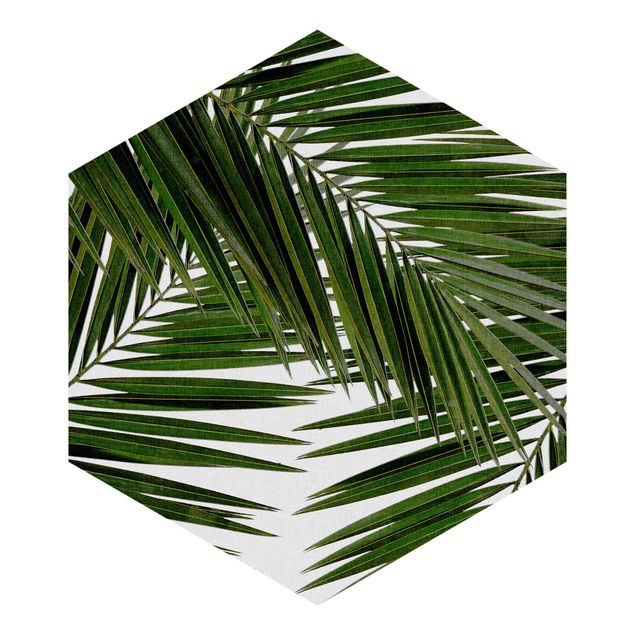 carta da parete Vista attraverso le foglie di palma verde