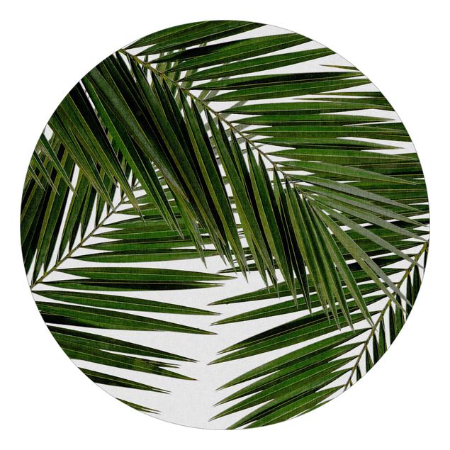 Carta da parati a fiori Vista attraverso le foglie di palma verde