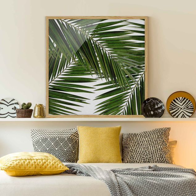 Quadri con cornice con fiori Vista attraverso le foglie di palma verde