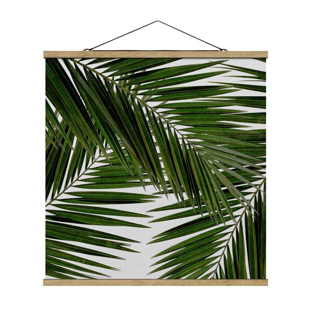 Riproduzioni quadri famosi Vista attraverso le foglie di palma verde