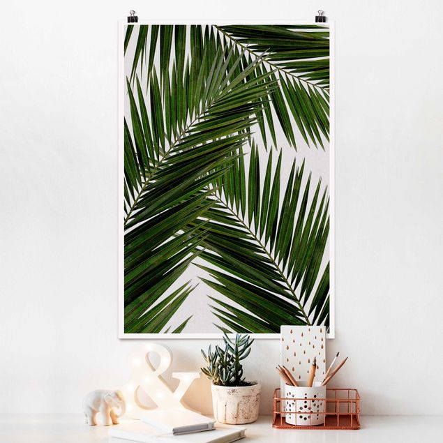 Quadri paesaggistici Vista attraverso le foglie di palma verde