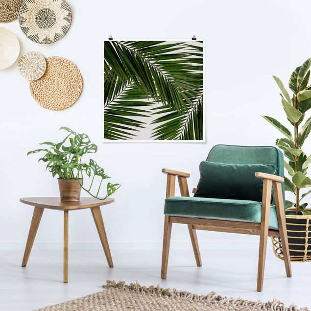 Quadri moderni per arredamento Vista attraverso le foglie di palma verde