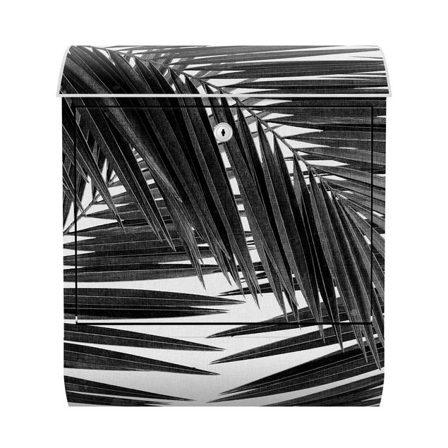 Cassette della posta in bianco e nero Vista sulle foglie di palma in bianco e nero