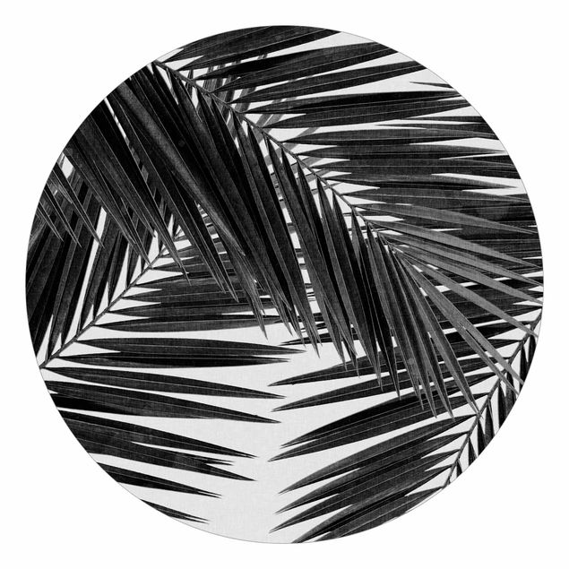 Carta da parati floreale Vista sulle foglie di palma in bianco e nero