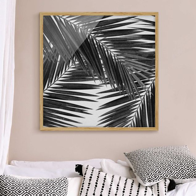 Quadri paesaggistici Vista sulle foglie di palma in bianco e nero