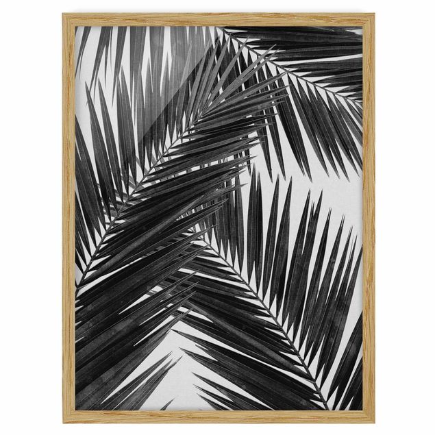 Quadri moderni per arredamento Vista sulle foglie di palma in bianco e nero