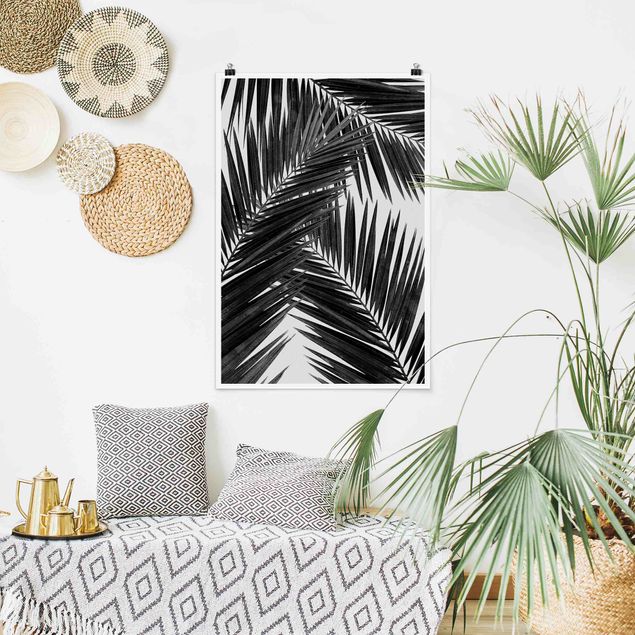 Quadro moderno Vista sulle foglie di palma in bianco e nero