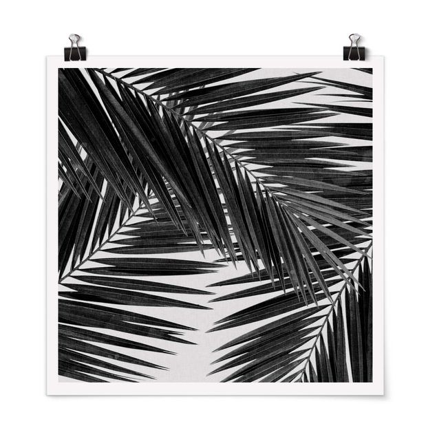 Quadri in bianco e nero Vista sulle foglie di palma in bianco e nero