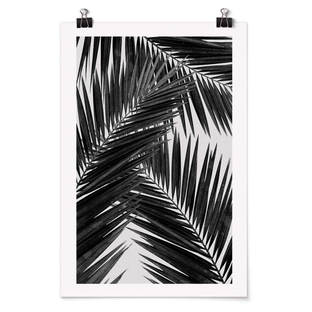 Quadri in bianco e nero Vista sulle foglie di palma in bianco e nero