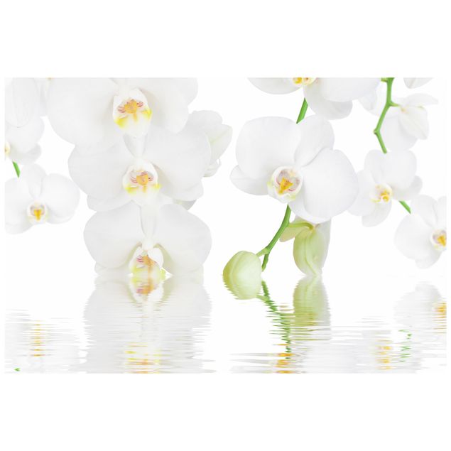 Pellicola adesiva per vetri Orchidea Spa - Orchidea bianca