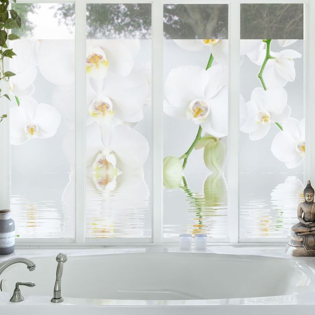Adesivi per finestre fiori Orchidea Spa - Orchidea bianca