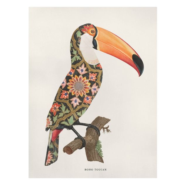 Quadro colorato Uccelli Boho - Tucano