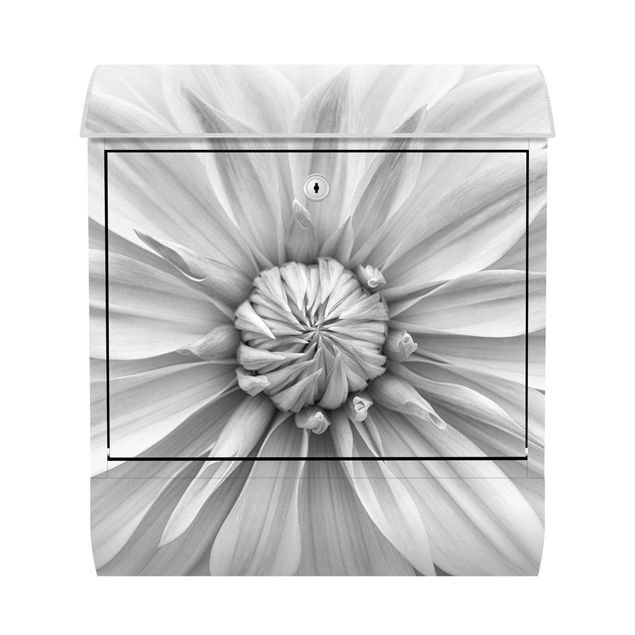 Cassette della posta in bianco e nero Fiore botanico in bianco