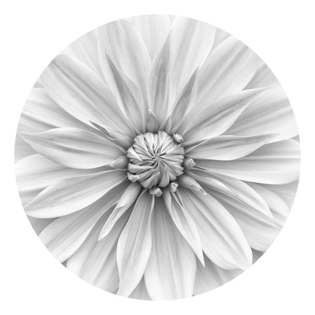 Carta da parati a fiori Fiore botanico in bianco