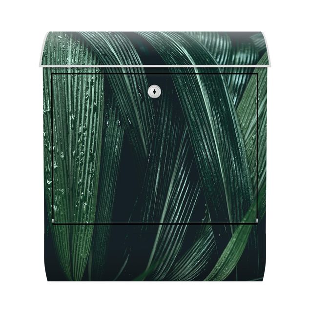 Cassette della posta verde Foglie di palma verde