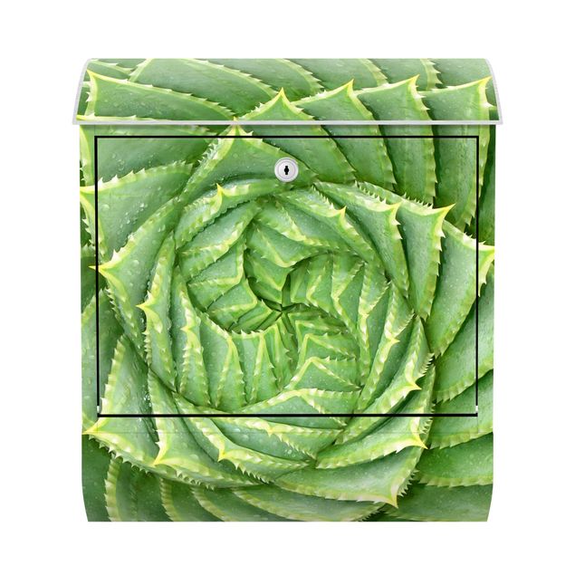 Cassetta della posta verde Aloe a spirale