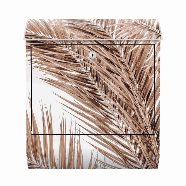 Cassette della posta con paesaggio Fronde di palma color bronzo